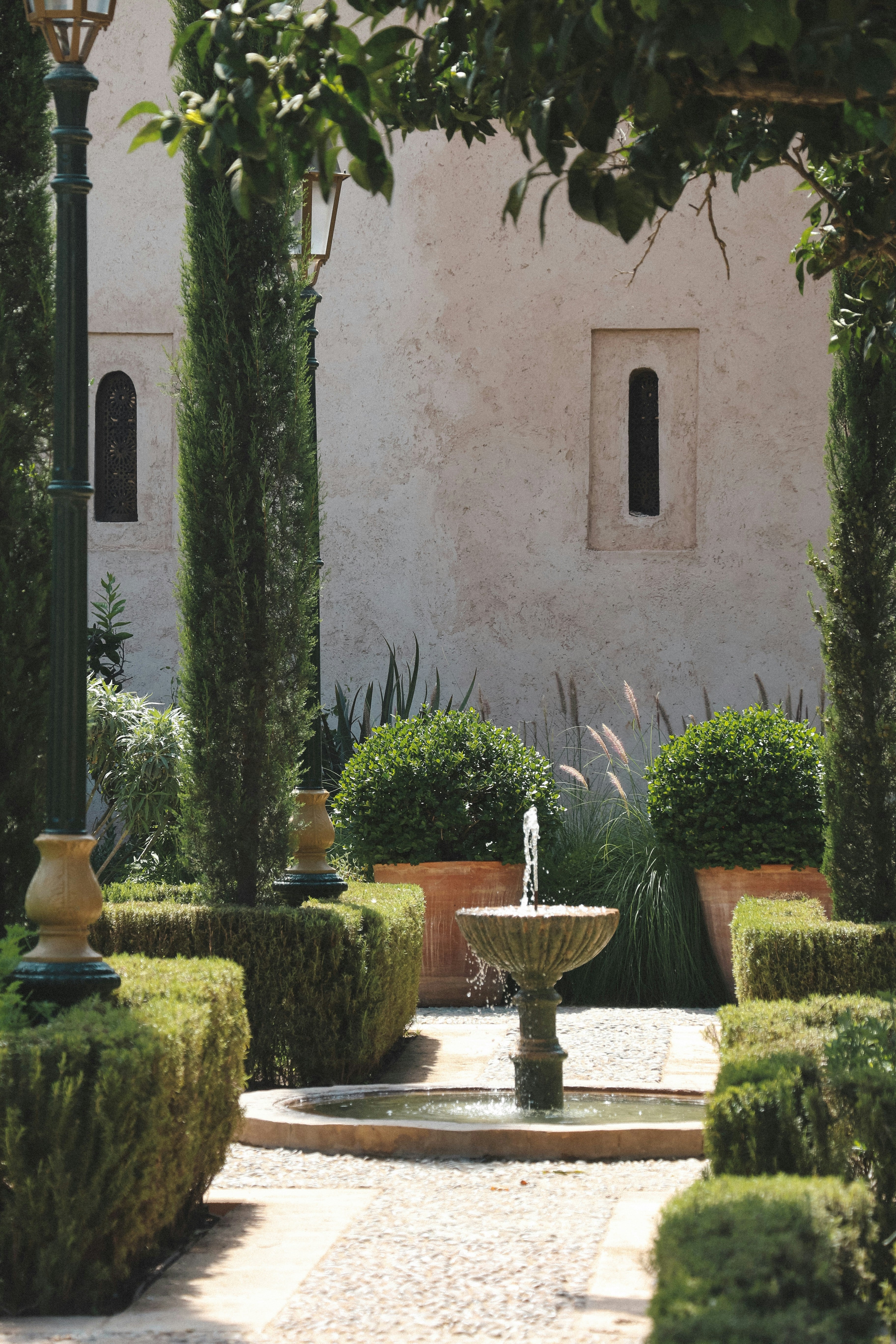 Um jardim com ciprestes, uma fonte e um caminho de pedra.